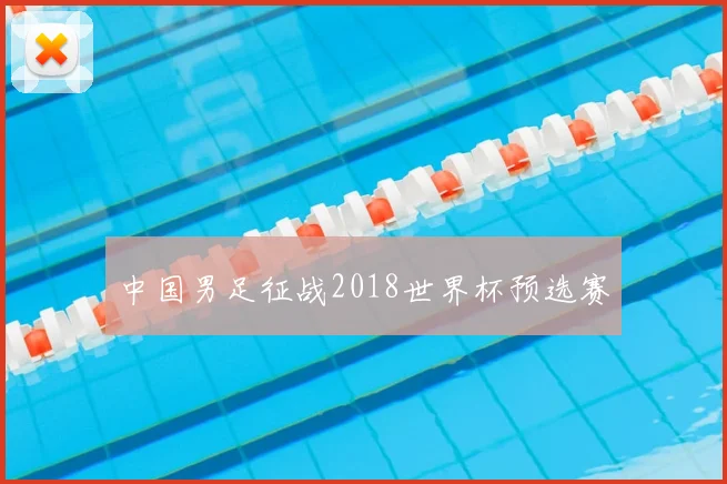 中国男足征战2018世界杯预选赛